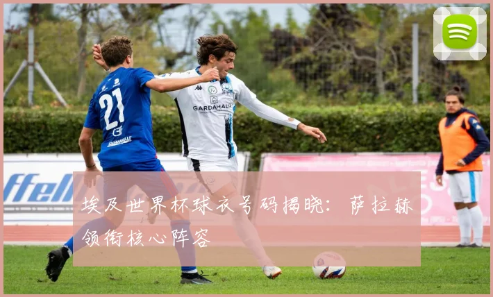 埃及世界杯球衣号码揭晓：萨拉赫领衔核心阵容
