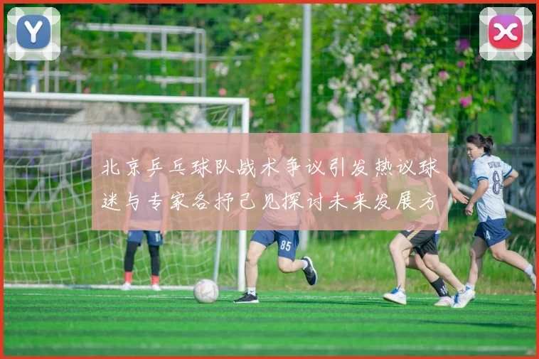 北京乒乓球队战术争议引发热议球迷与专家各抒己见探讨未来发展方向